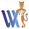 webmasterkariyer