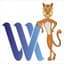 webmasterkariyer