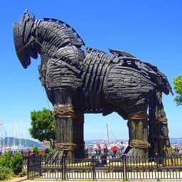 aysehumeyra