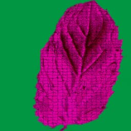pinkmint