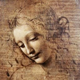 hildegard 