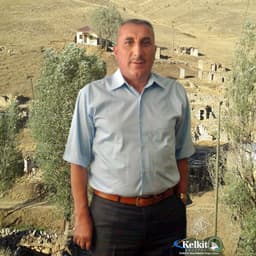 Krall_29
