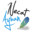 NecatAyhan