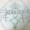 akin2918