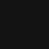 x29