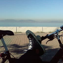 Brcn