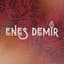 enesdemirgraphic