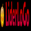 LiderLogo