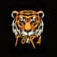 Tora Graphic