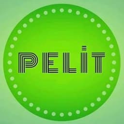 Pelit Project