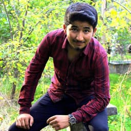 aliazgin33