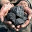 whitecoal