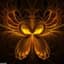 crocus