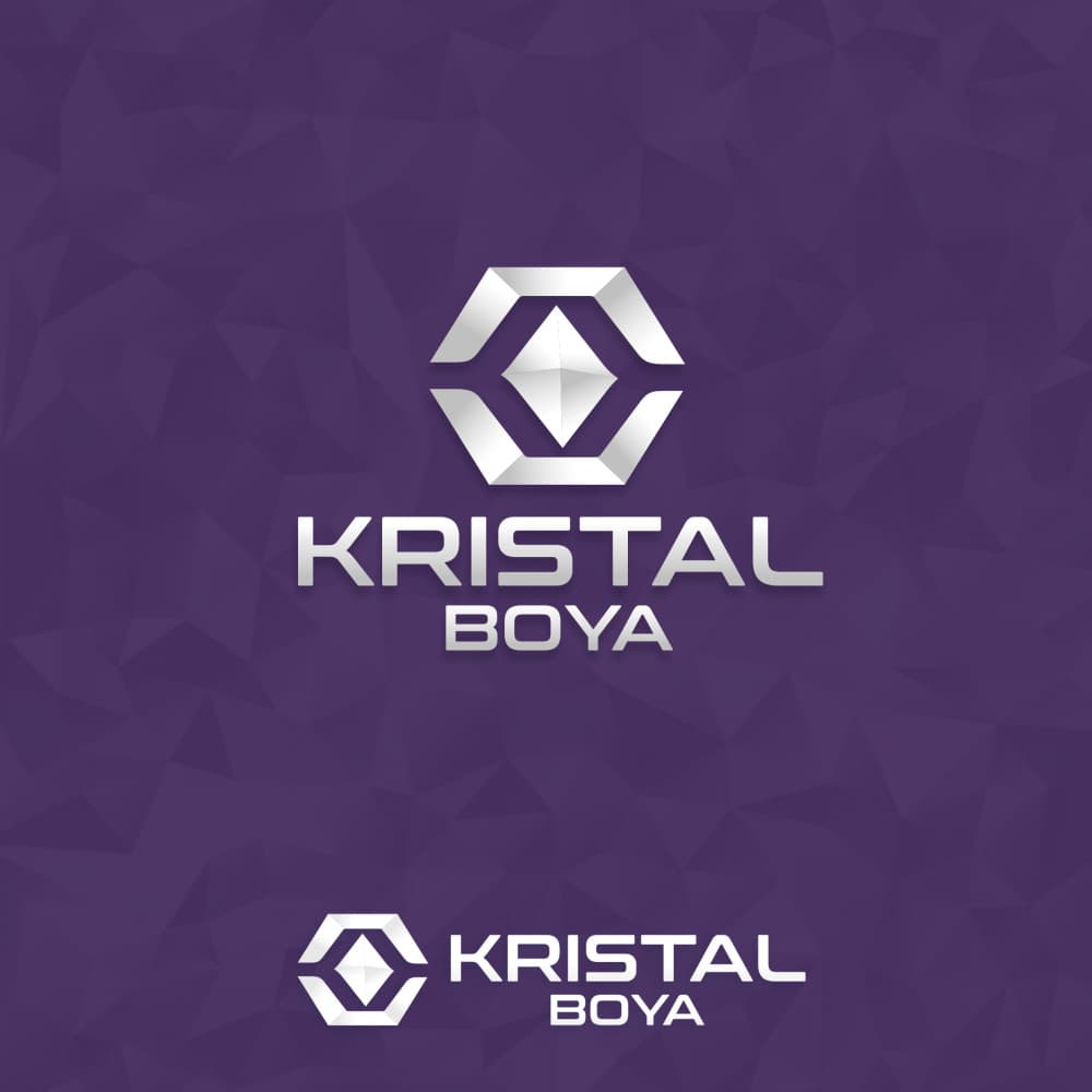 71 Yıllık Köklü Aile Şirketimiz İçin Modern ve Güçlü Logo Tasarımı — Boyalar & Endüstriyel Boyalar — Logo Tasarım #41