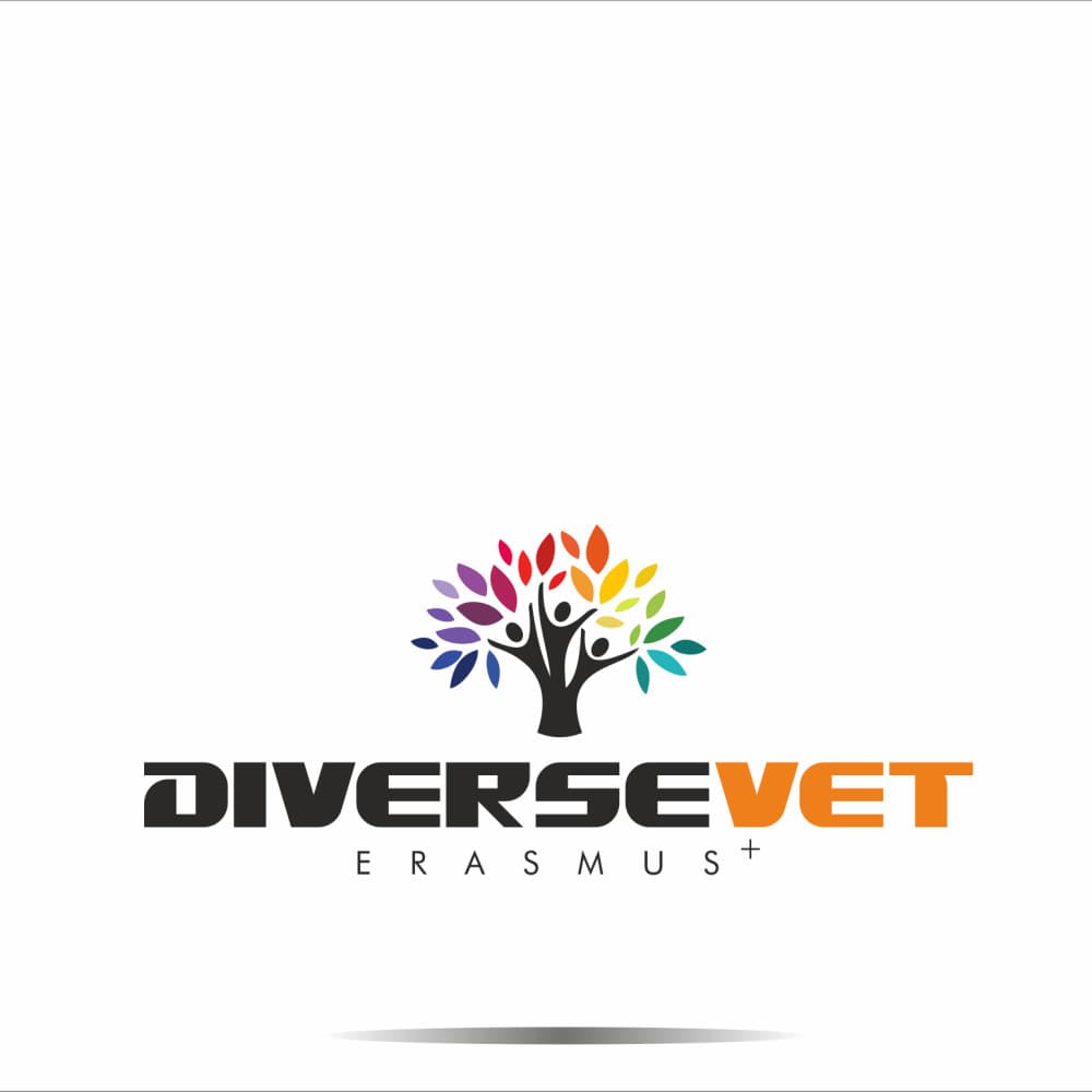 DiverseVET Erasmus Projesi — Eğitim & Danışmanlık — Logo Tasarım #89
