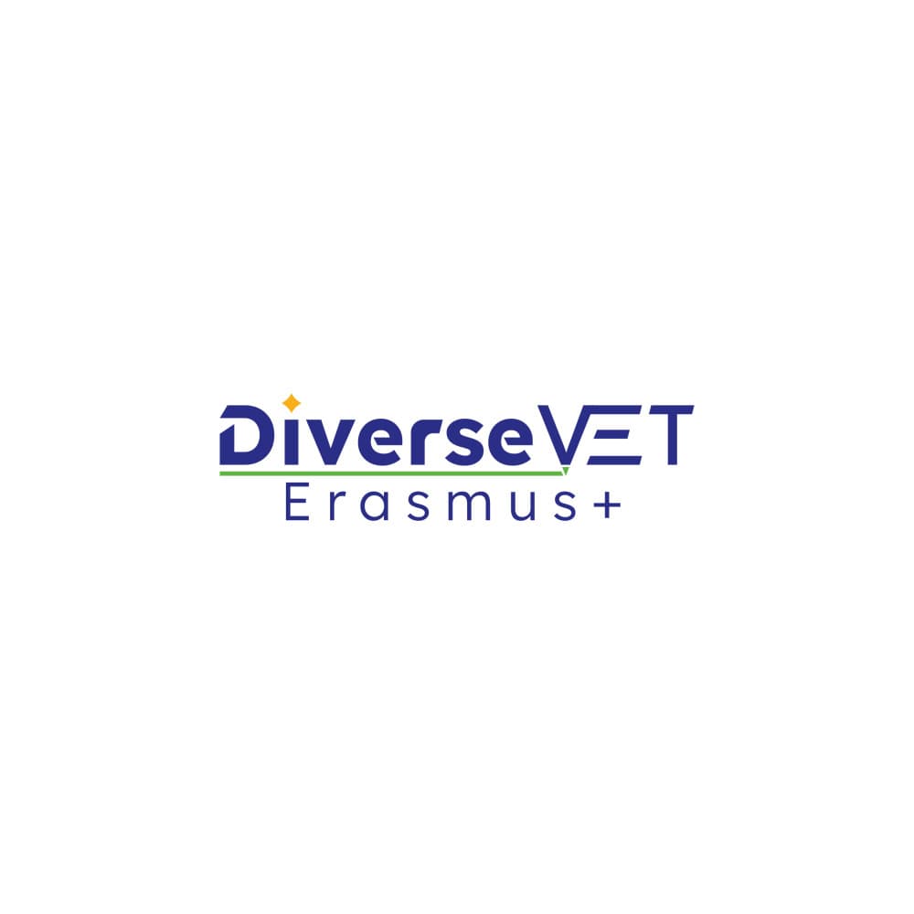 DiverseVET Erasmus Projesi — Eğitim & Danışmanlık — Logo Tasarım #16