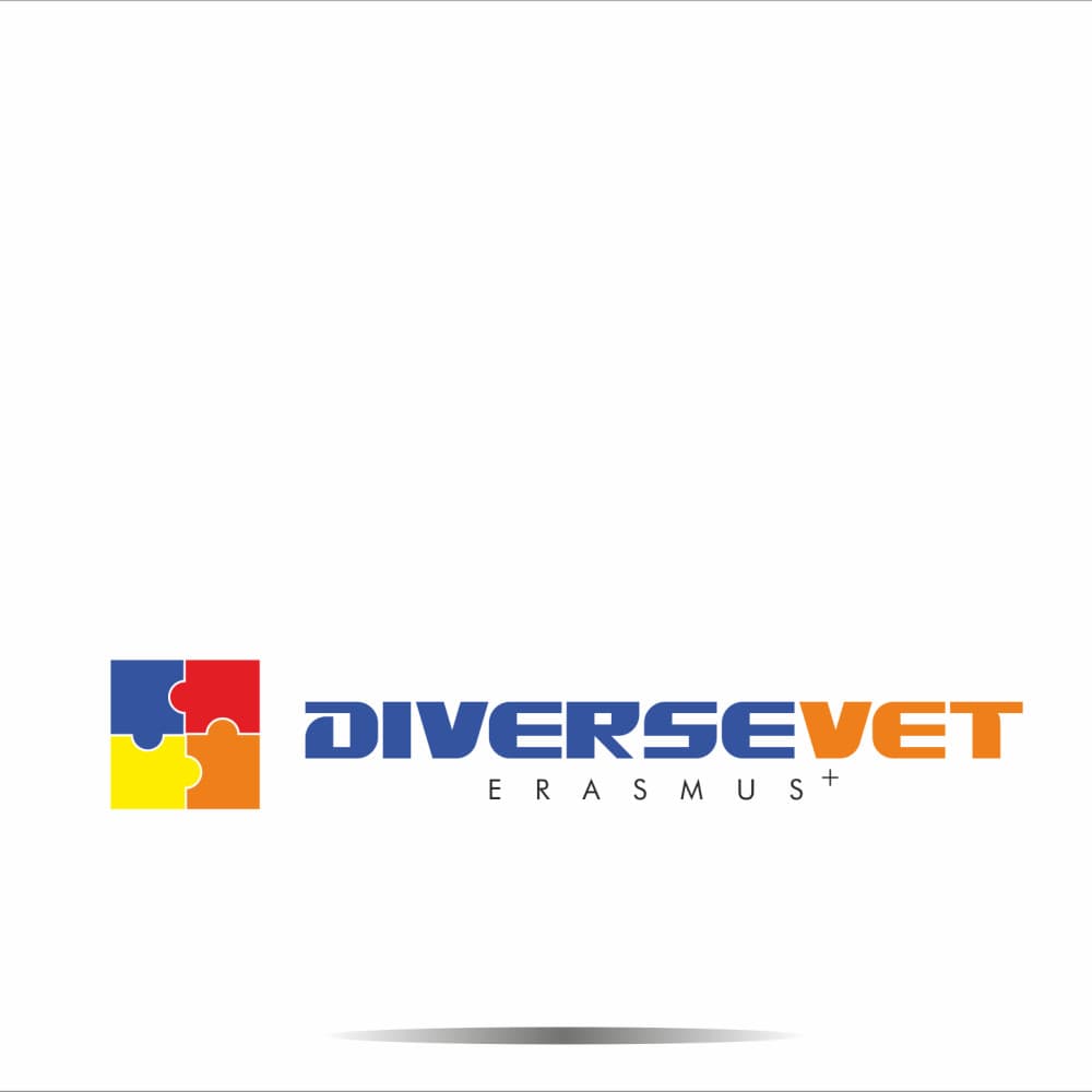 DiverseVET Erasmus Projesi — Eğitim & Danışmanlık — Logo Tasarım #96