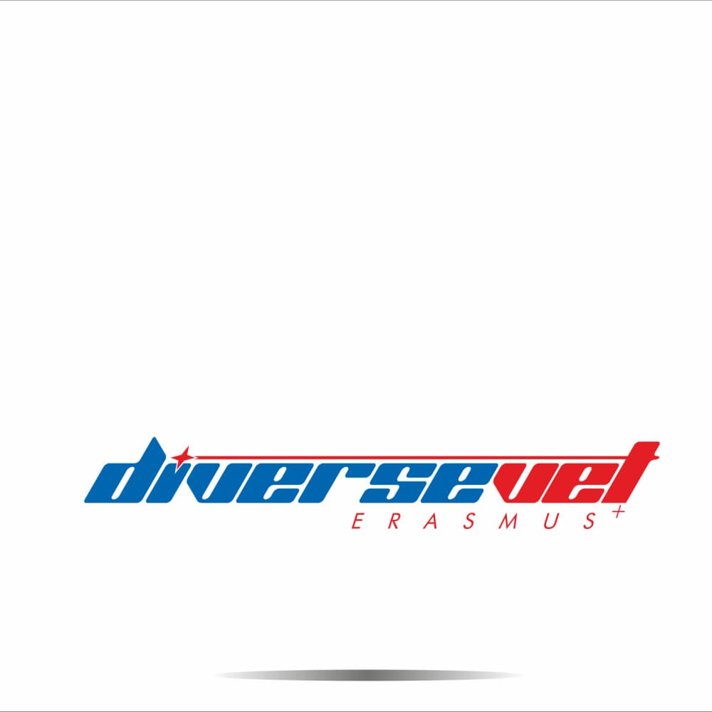DiverseVET Erasmus Projesi — Eğitim & Danışmanlık — Logo Tasarım #92