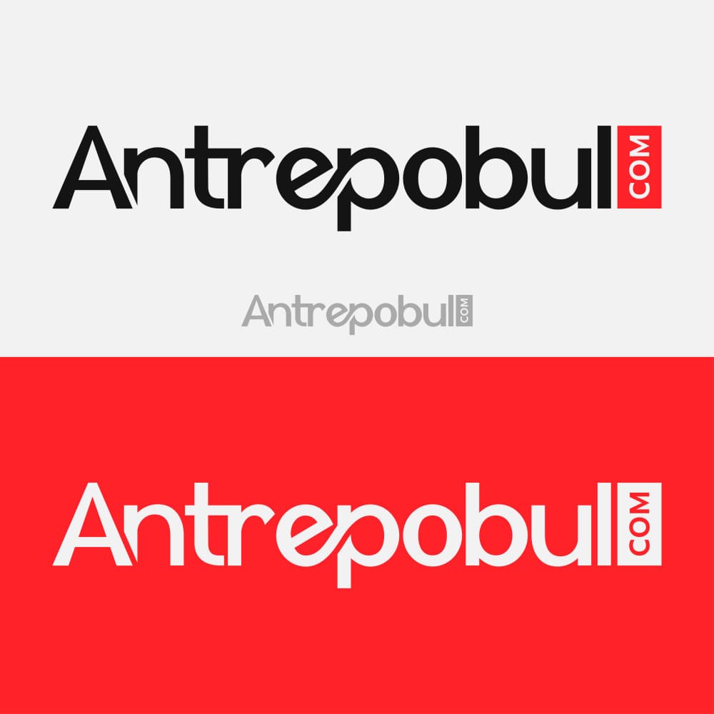 Antrepobul.com Logo ve Kurumsal Kimlik Tasarımı — Gümrük Müşavirliği — Logo Tasarımı #44