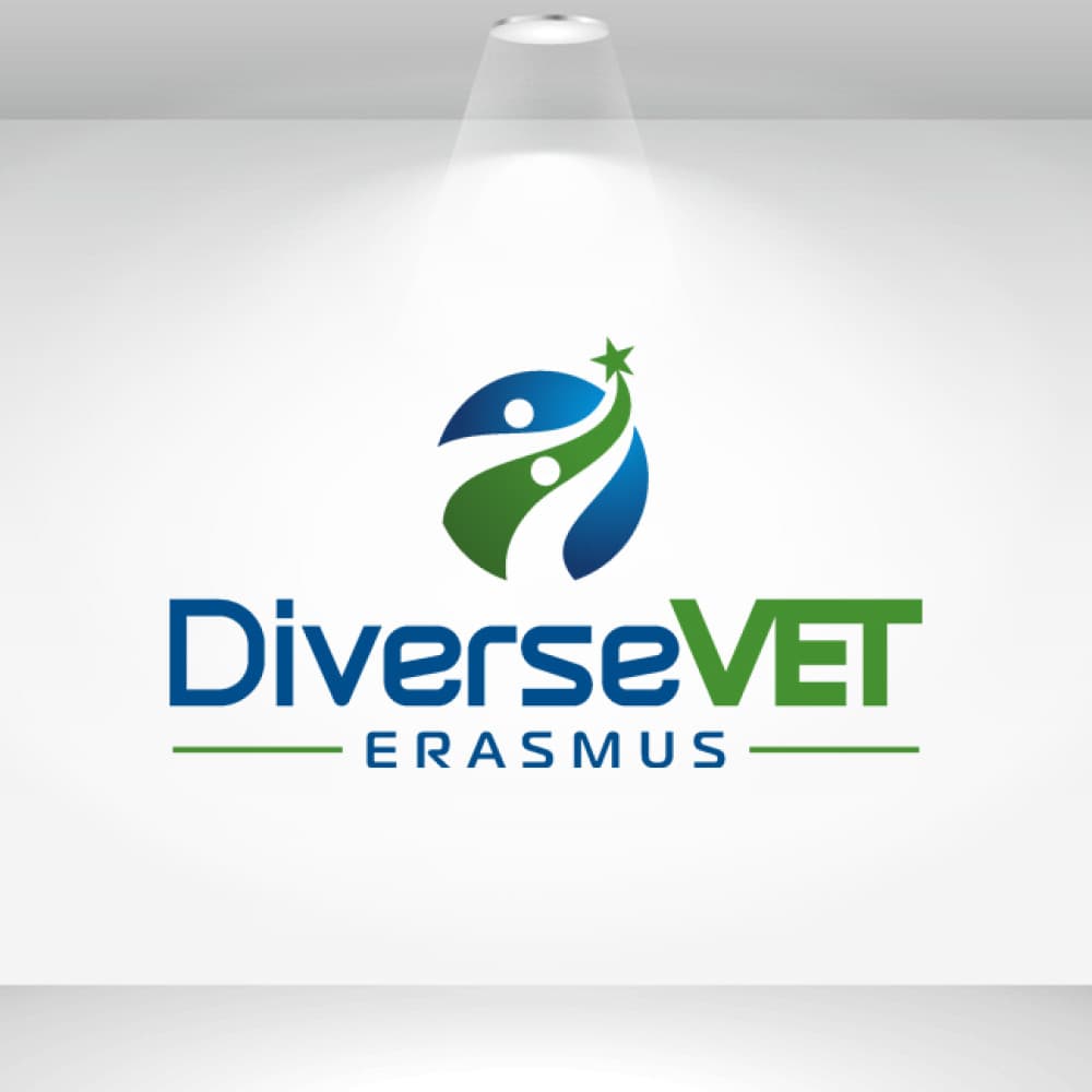 DiverseVET Erasmus Projesi — Eğitim & Danışmanlık — Logo Tasarım #22