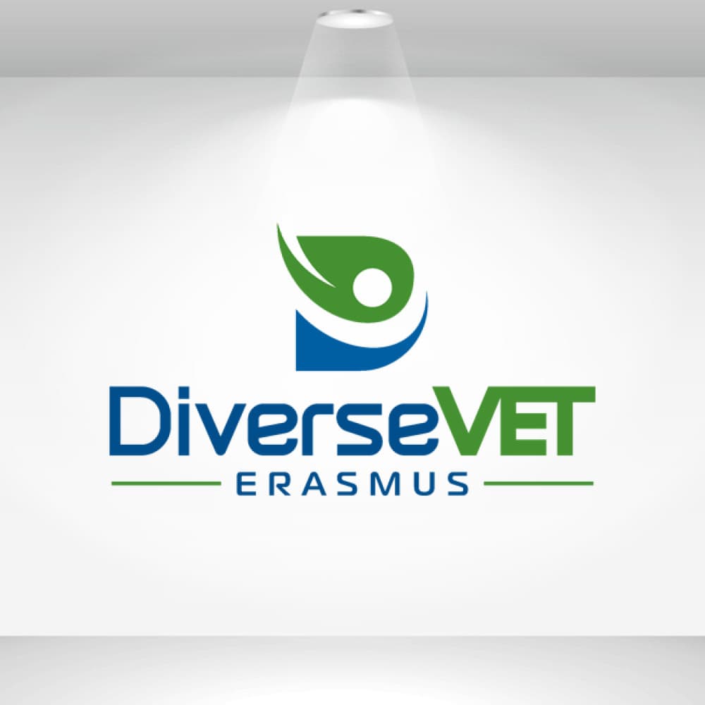 DiverseVET Erasmus Projesi — Eğitim & Danışmanlık — Logo Tasarım #29