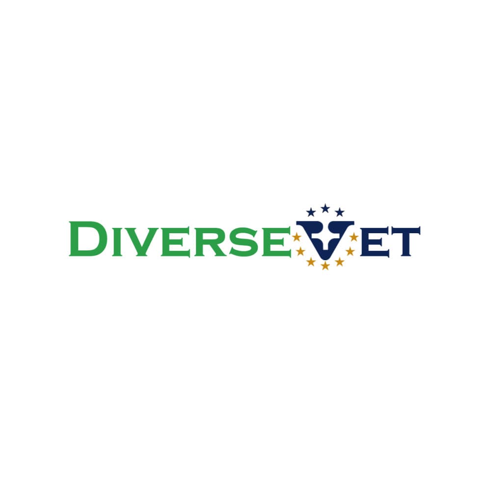 DiverseVET Erasmus Projesi — Eğitim & Danışmanlık — Logo Tasarım #20