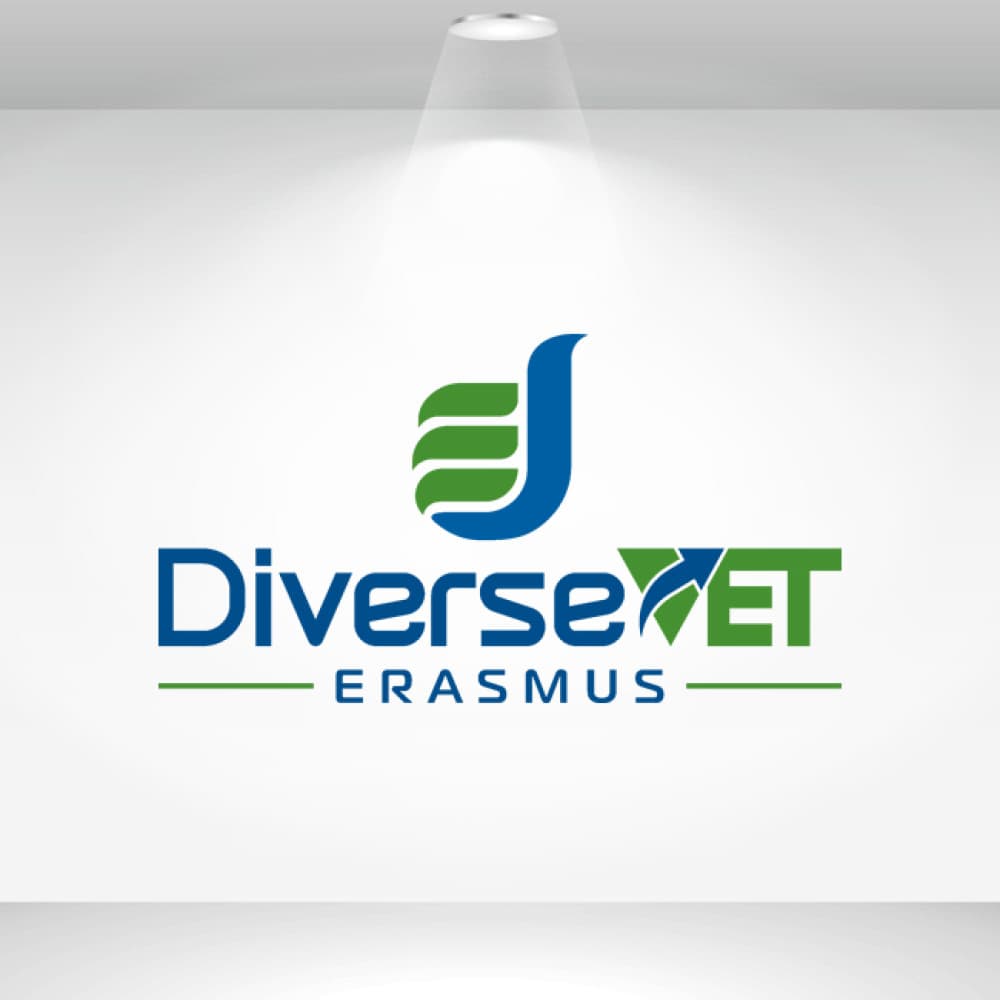 DiverseVET Erasmus Projesi — Eğitim & Danışmanlık — Logo Tasarım #28