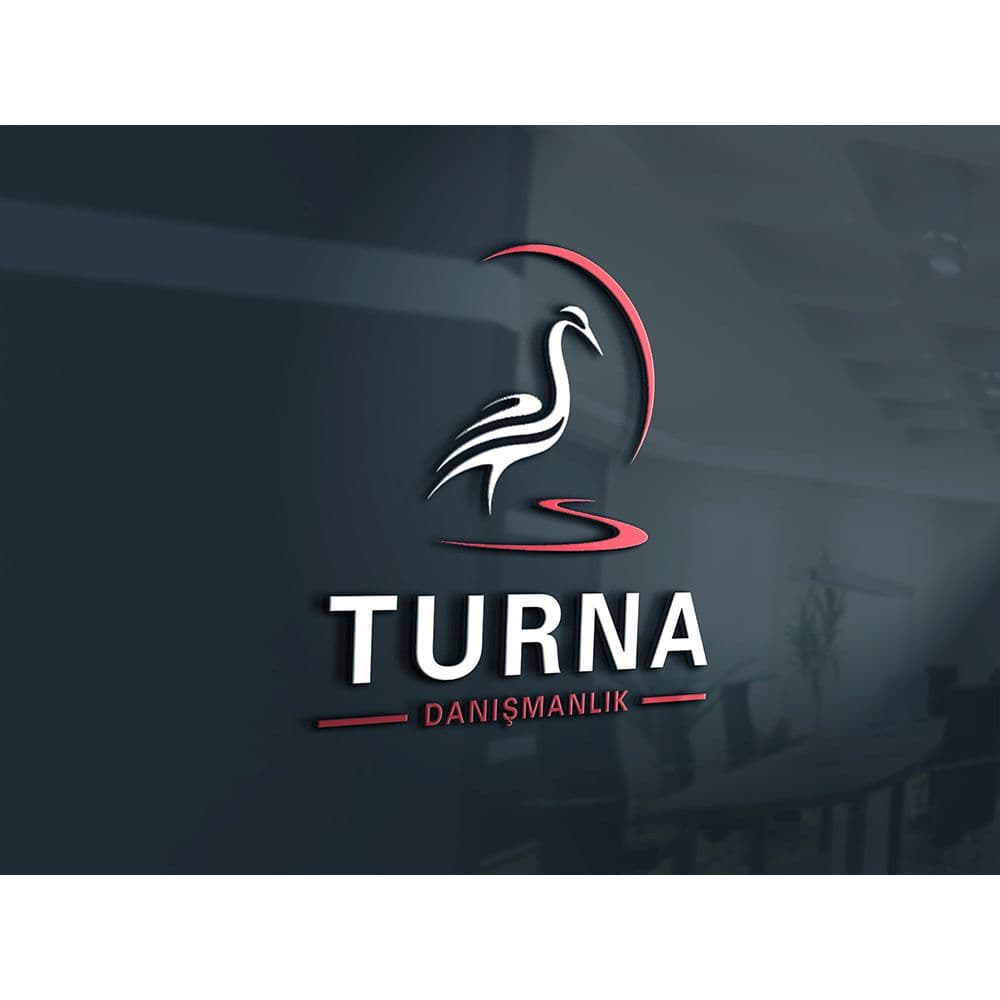 Danışmanlık Şirketi Logo Tasarımı