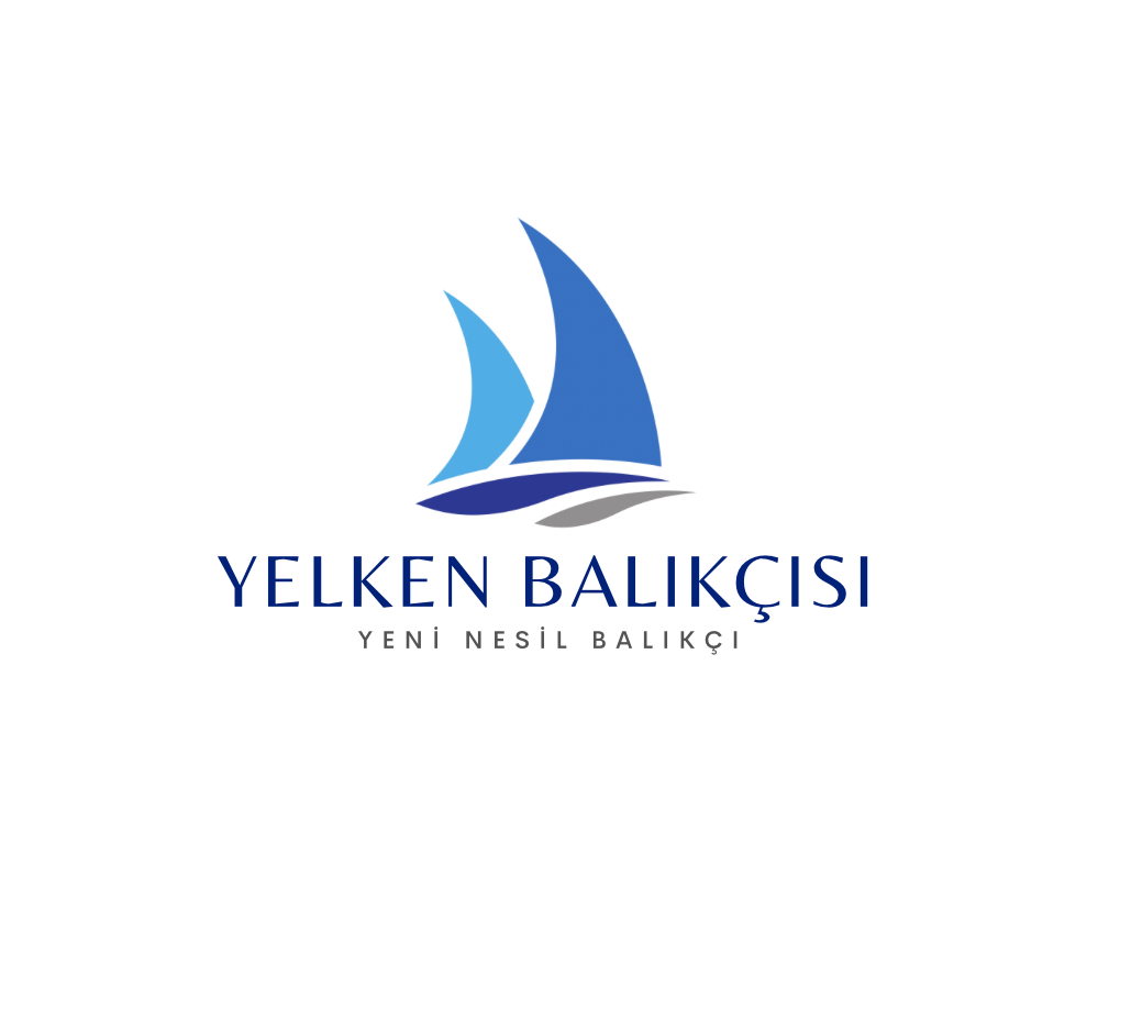 Buna benzer logo istiyorum 