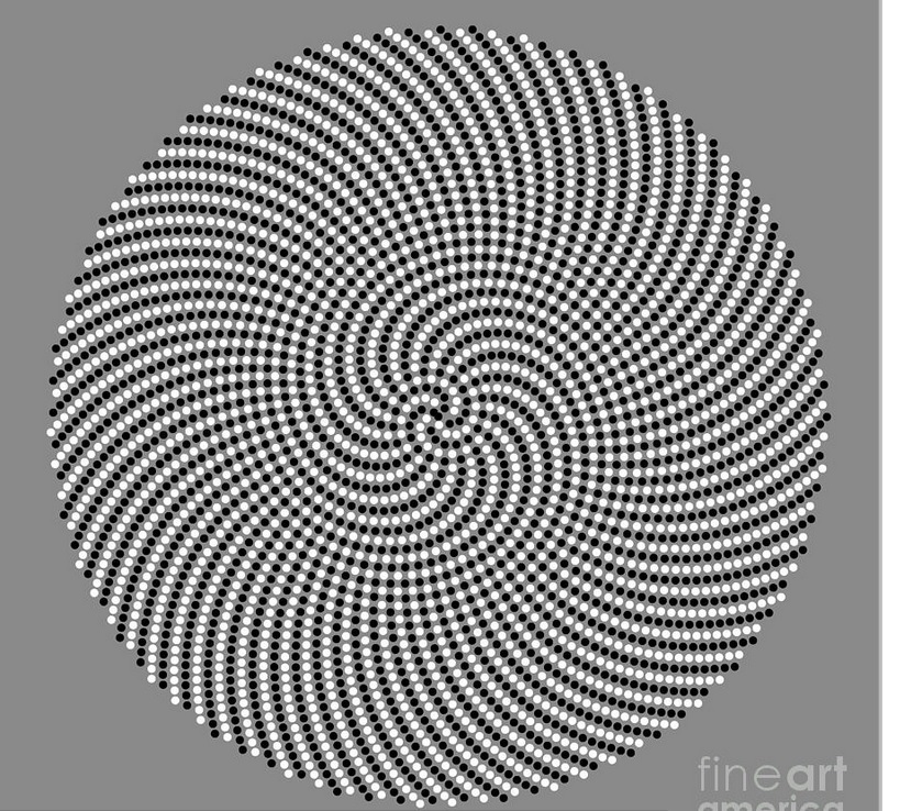 fibonacci sarmal tasarımı