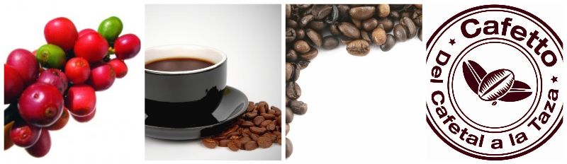 cafetto2