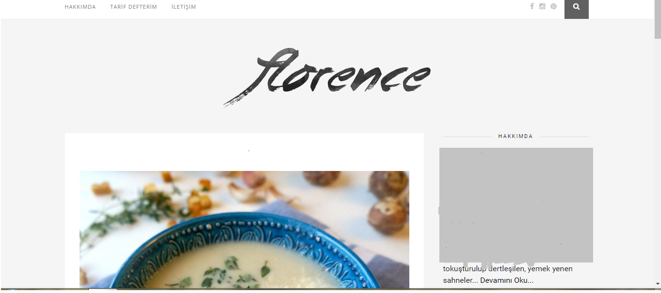 Web sitesi ana sayfa gorunum