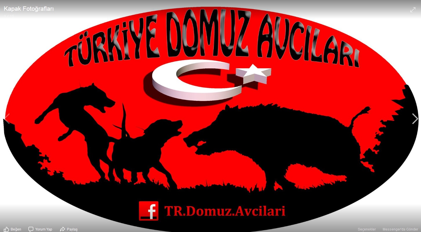 örnek logo