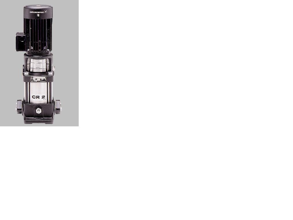 826_1553913129.jpg