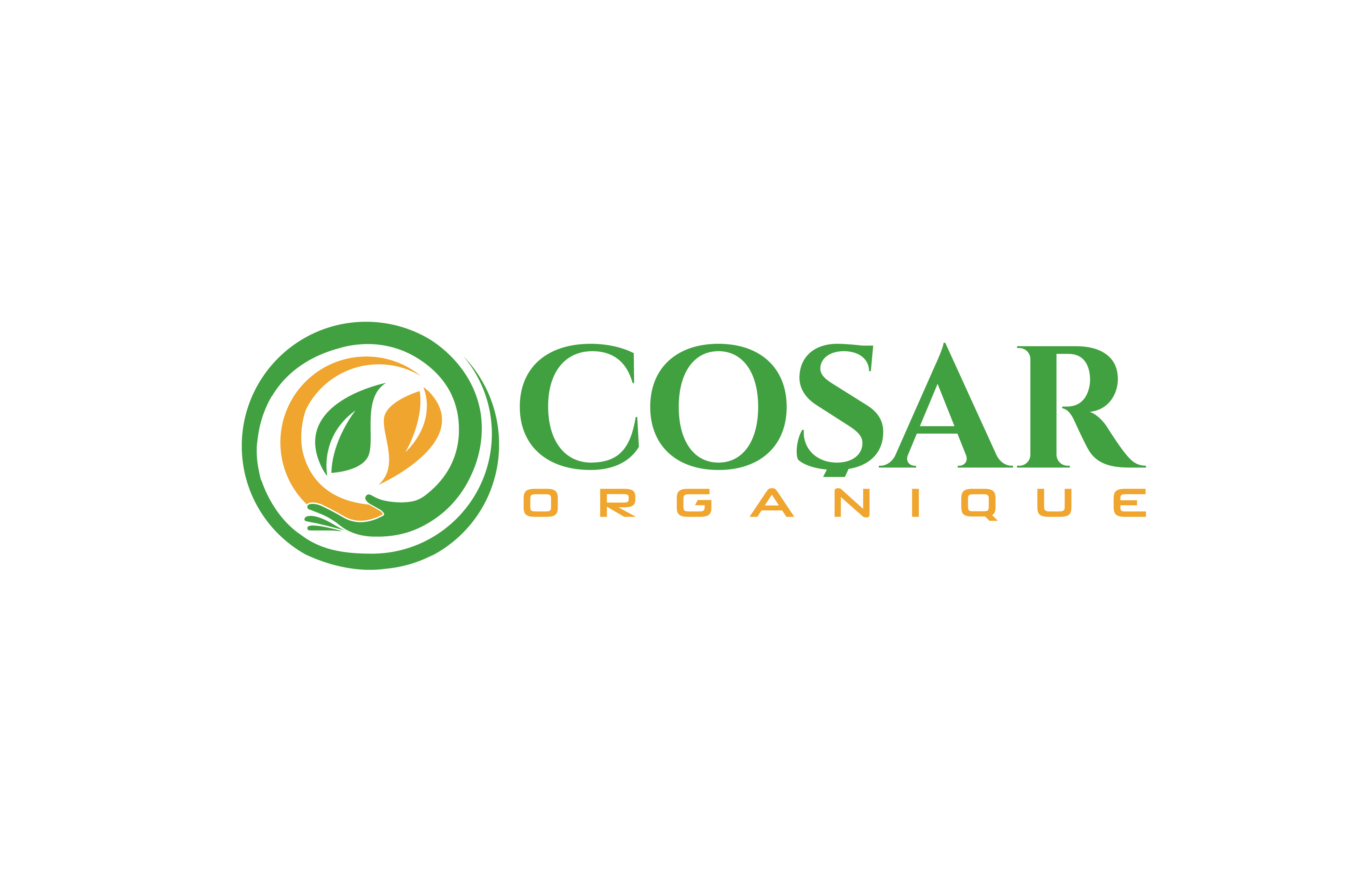 96111_452151219.jpg