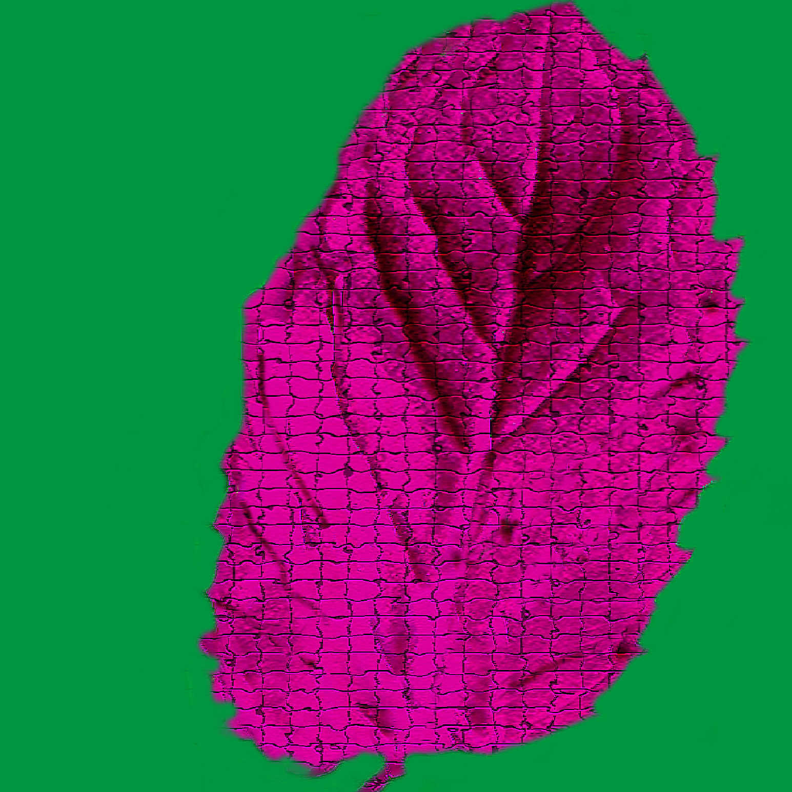pinkmint