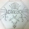 akin2918