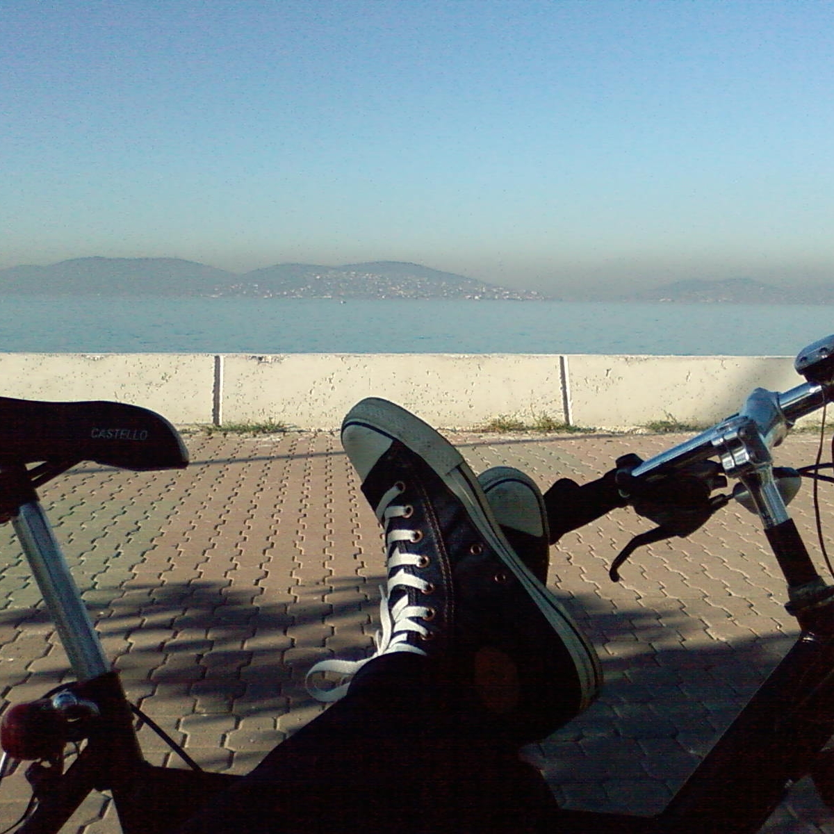 Brcn