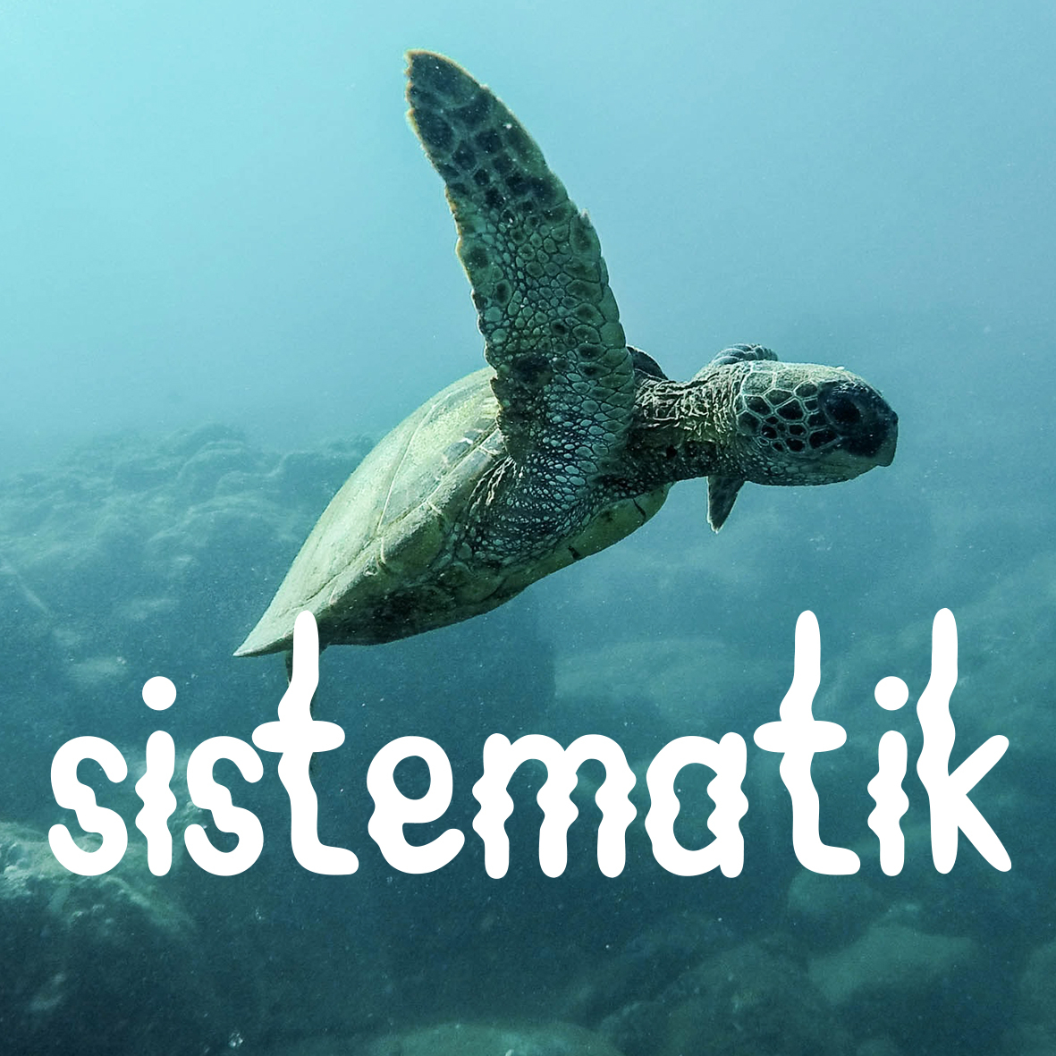 sistematik