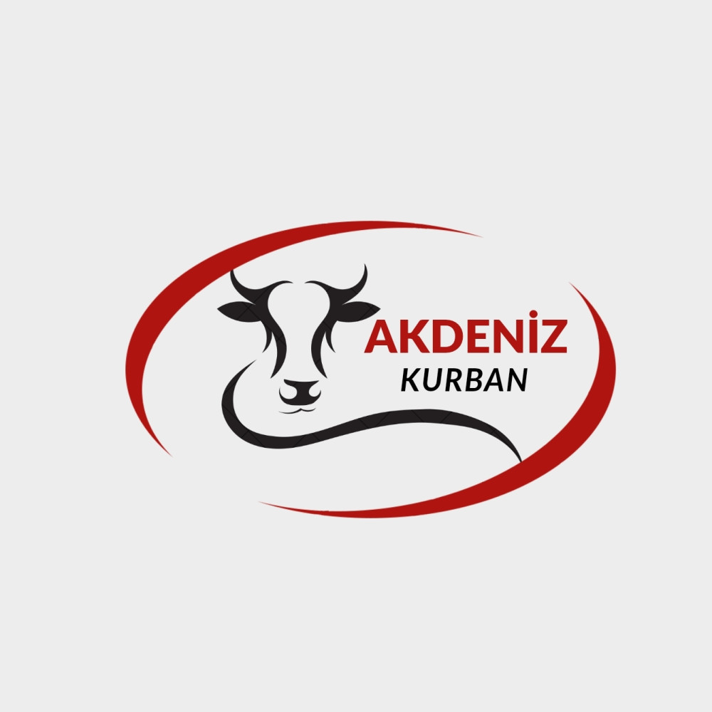 Tasarım #120
