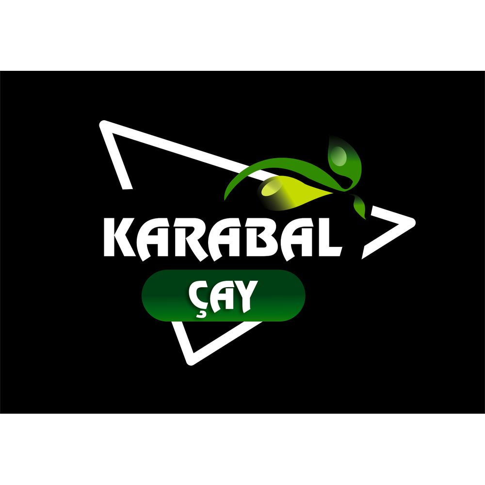 Tasarım #245