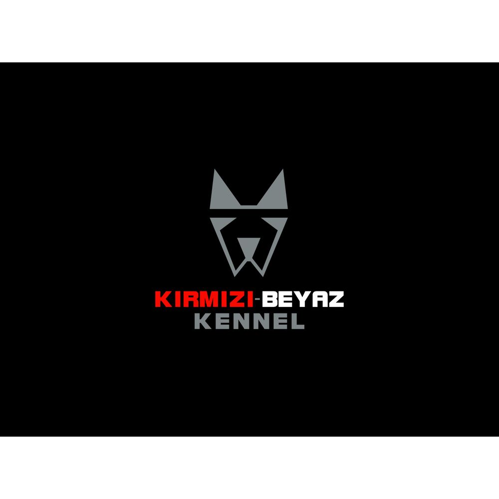 Kazanan tasarım #528