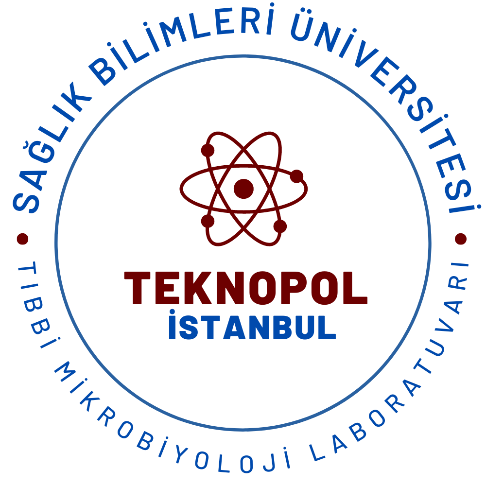 Tasarım #11