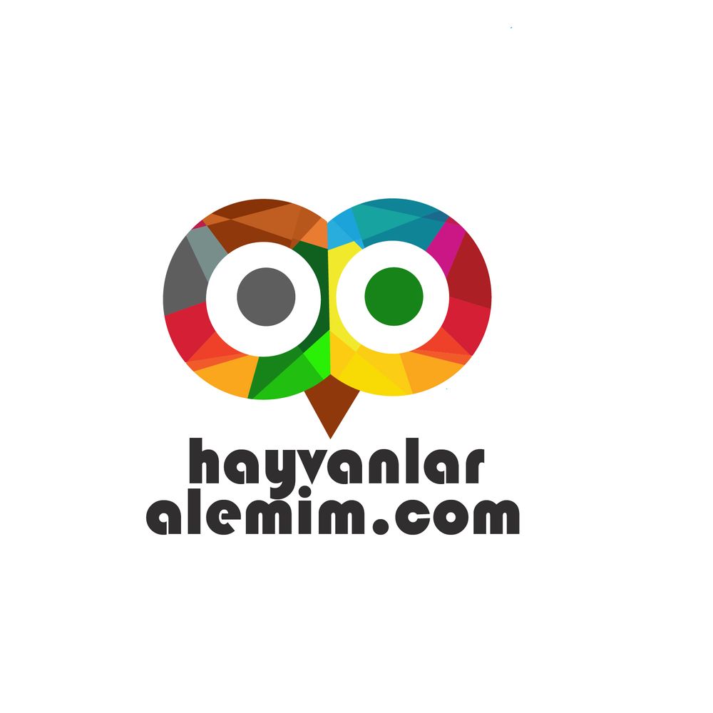 Tasarım #19