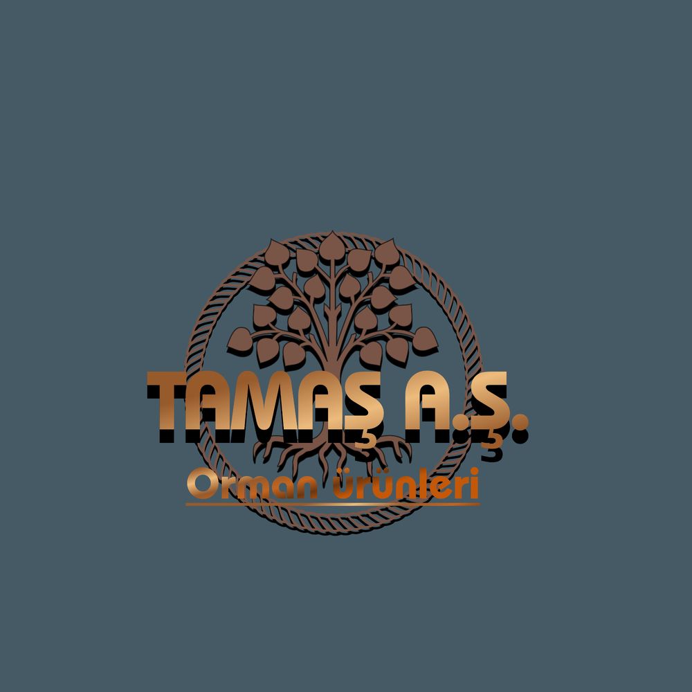 Tasarım #6