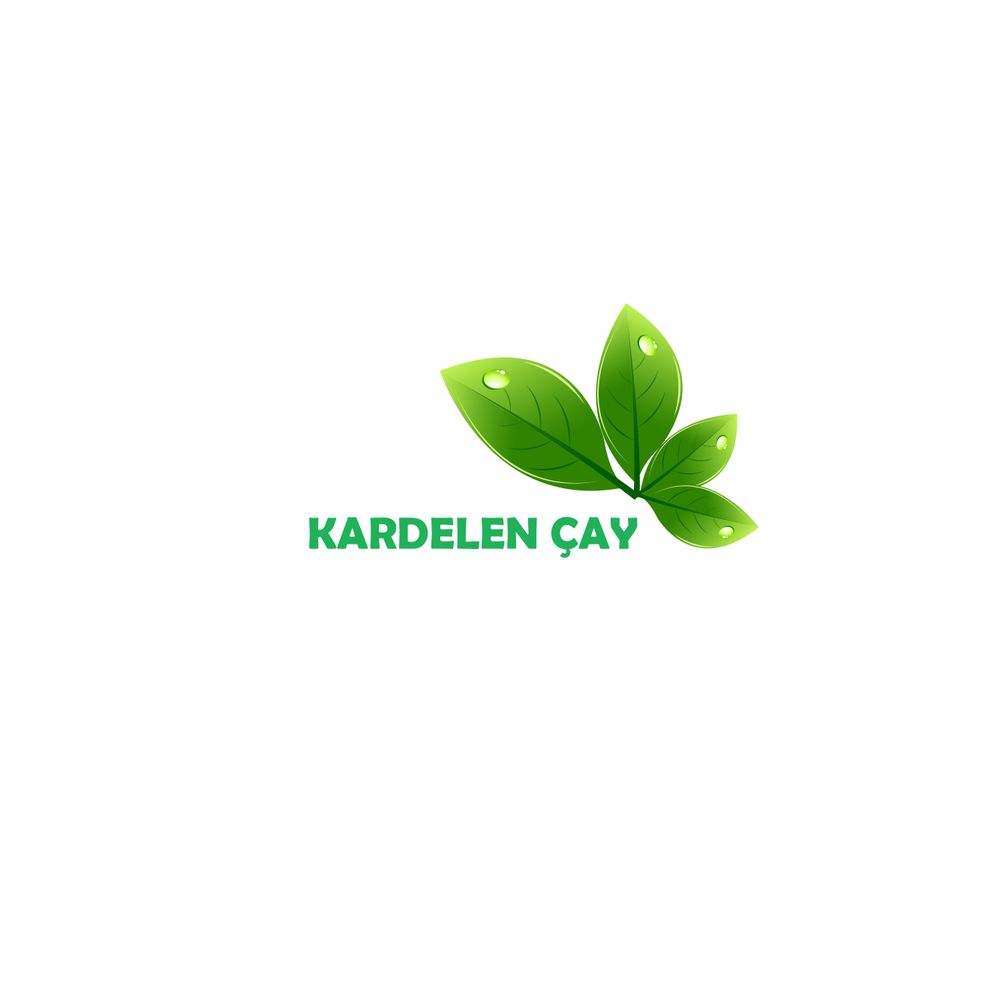 Tasarım #3