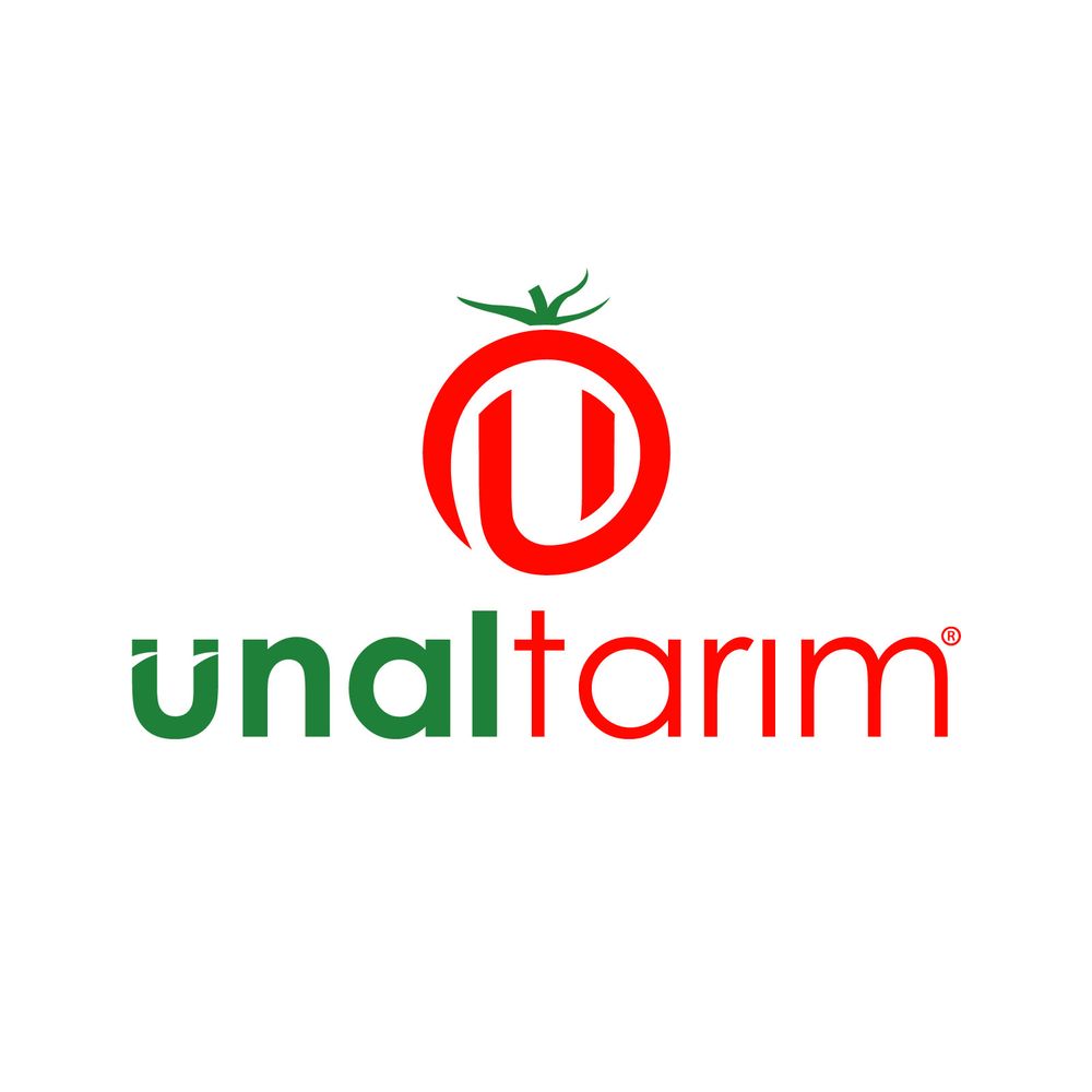 Tasarım #11