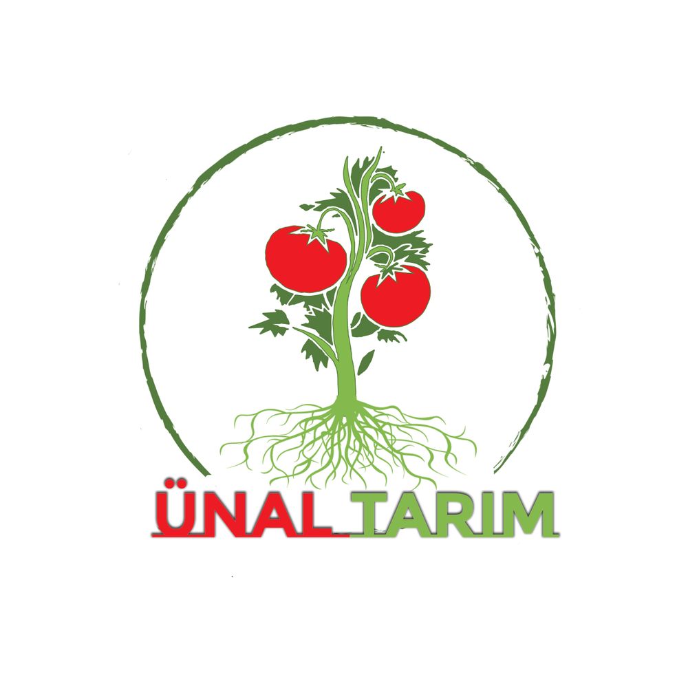 Tasarım #17