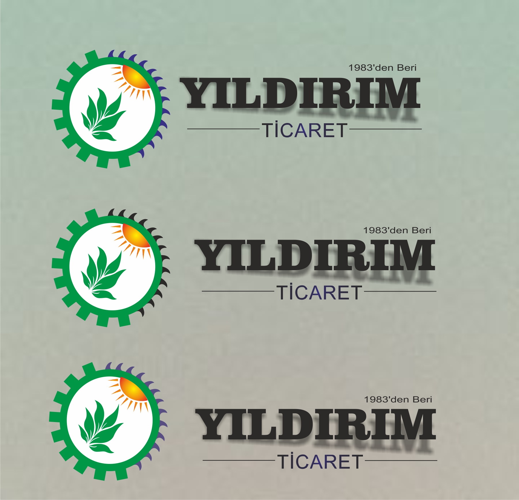 Tasarım #351