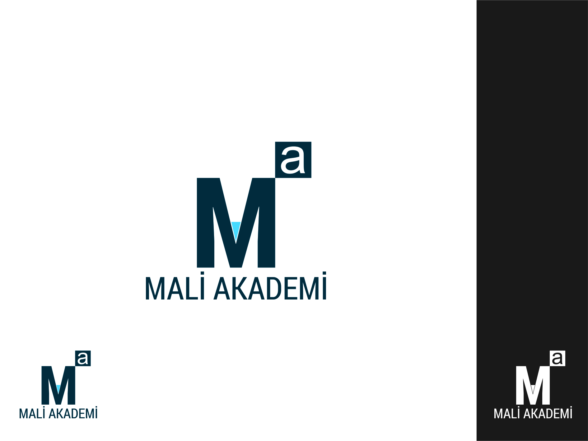 Tasarım #44